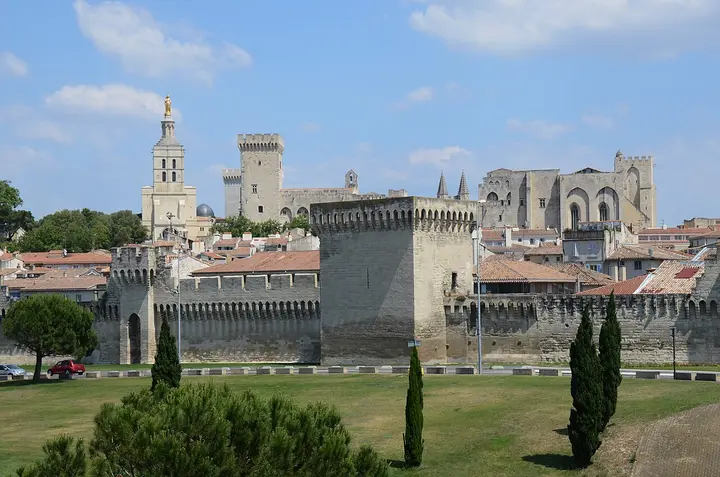 Stone walls and towers of Avignon with trees in the foreground.